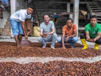 Paccari: Vuelta al mundo con aroma a chocolate justo en el día mundial del cacao