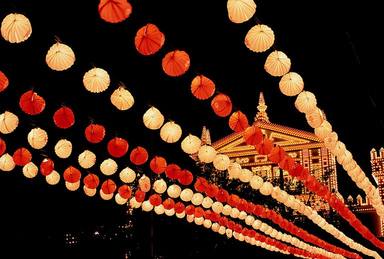 ctv-lly-farolillos ctv-lly-farolillos
